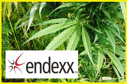Featured Interview: CEO Todd Davis of ENDEXX Corp. (OTCPink: EDXC)